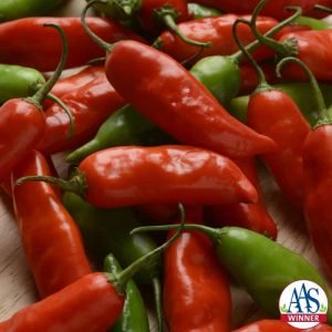 PEPPER - AJI RICO HYBRID