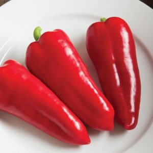 PEPPER - CORNITO ROSSO HYBRID, Sweet